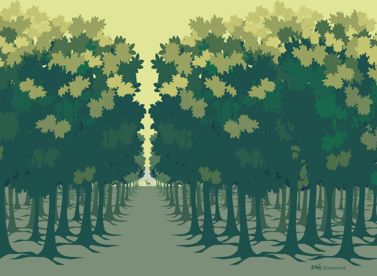 illustration Forêt de Tronçais