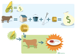 Agriculture