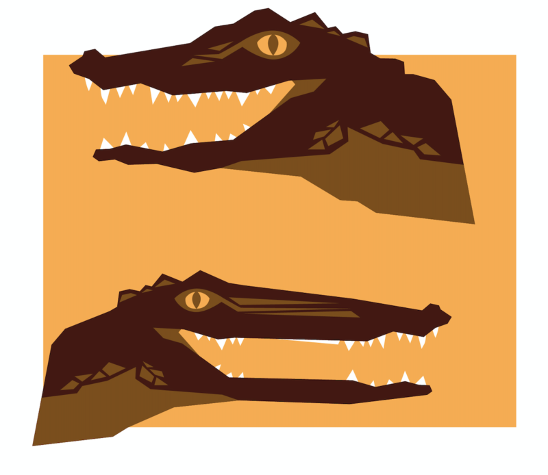 illustration crocodile alligator