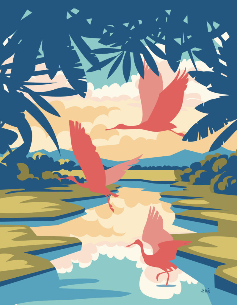 illustration Everglades USA Floride