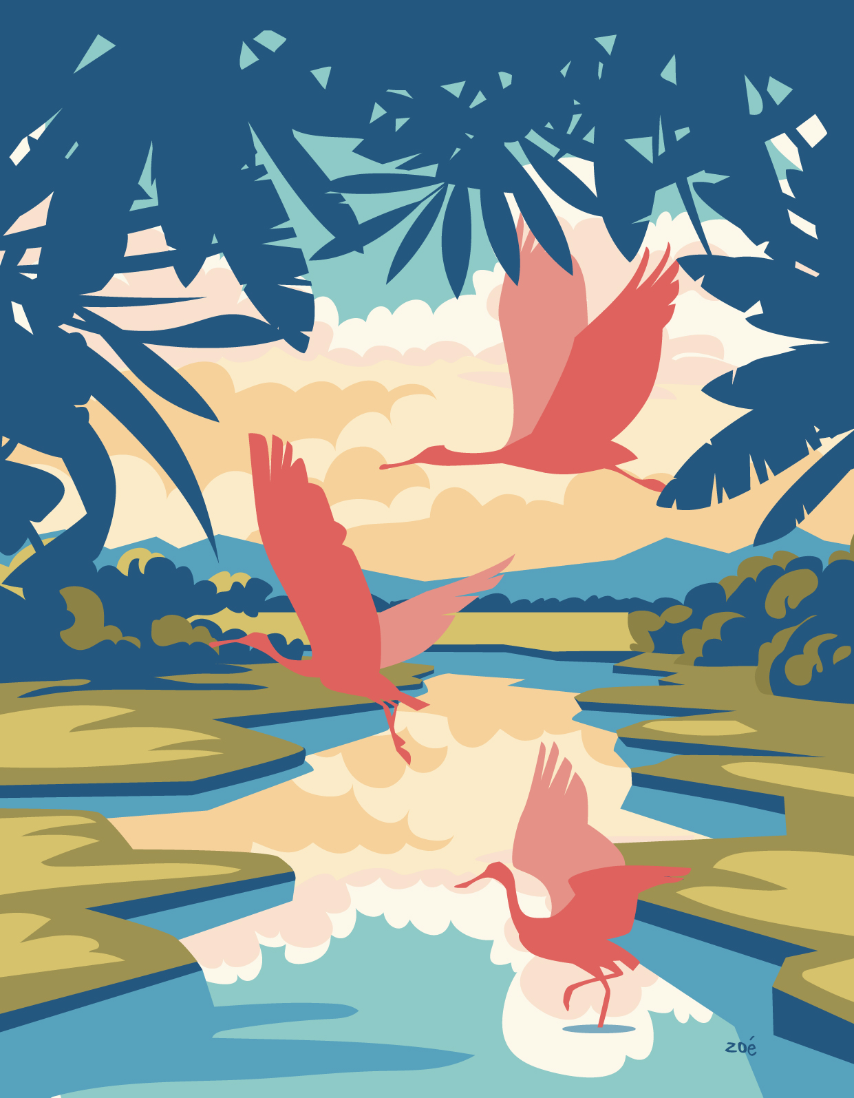 illustration Everglades USA Floride