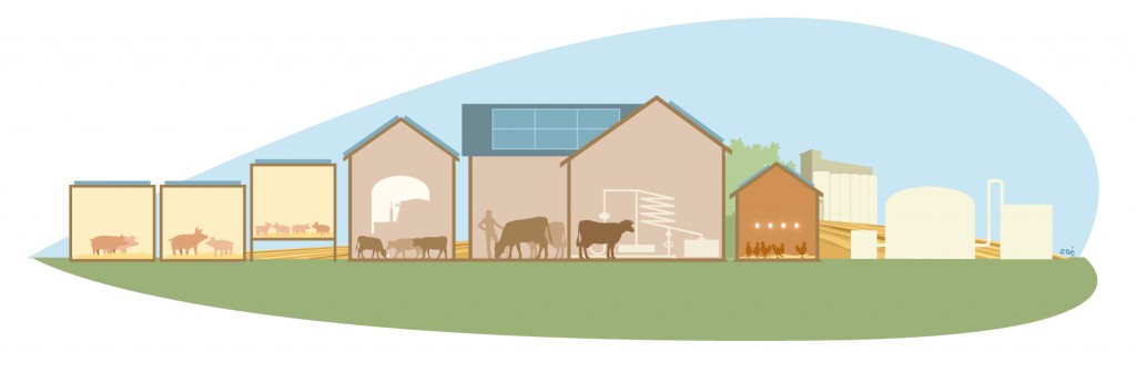 illustration ferme modèle