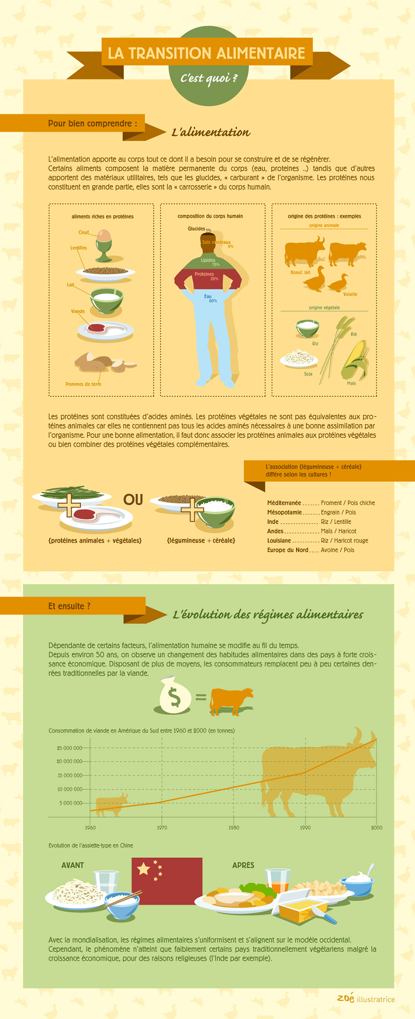 infographique transition alimentaire