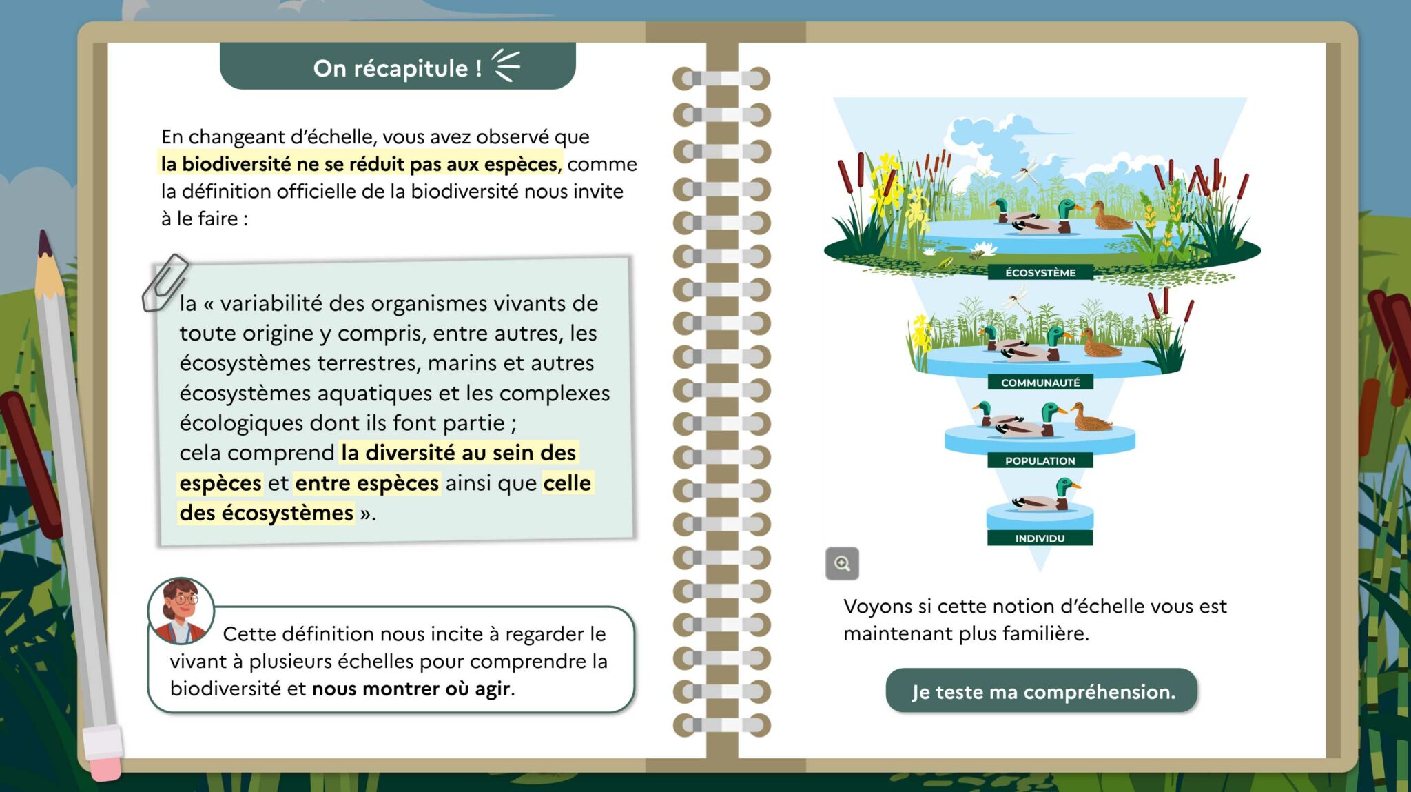 illustration zoé museum d'histoire naturelle illustration module de formation biodiversité