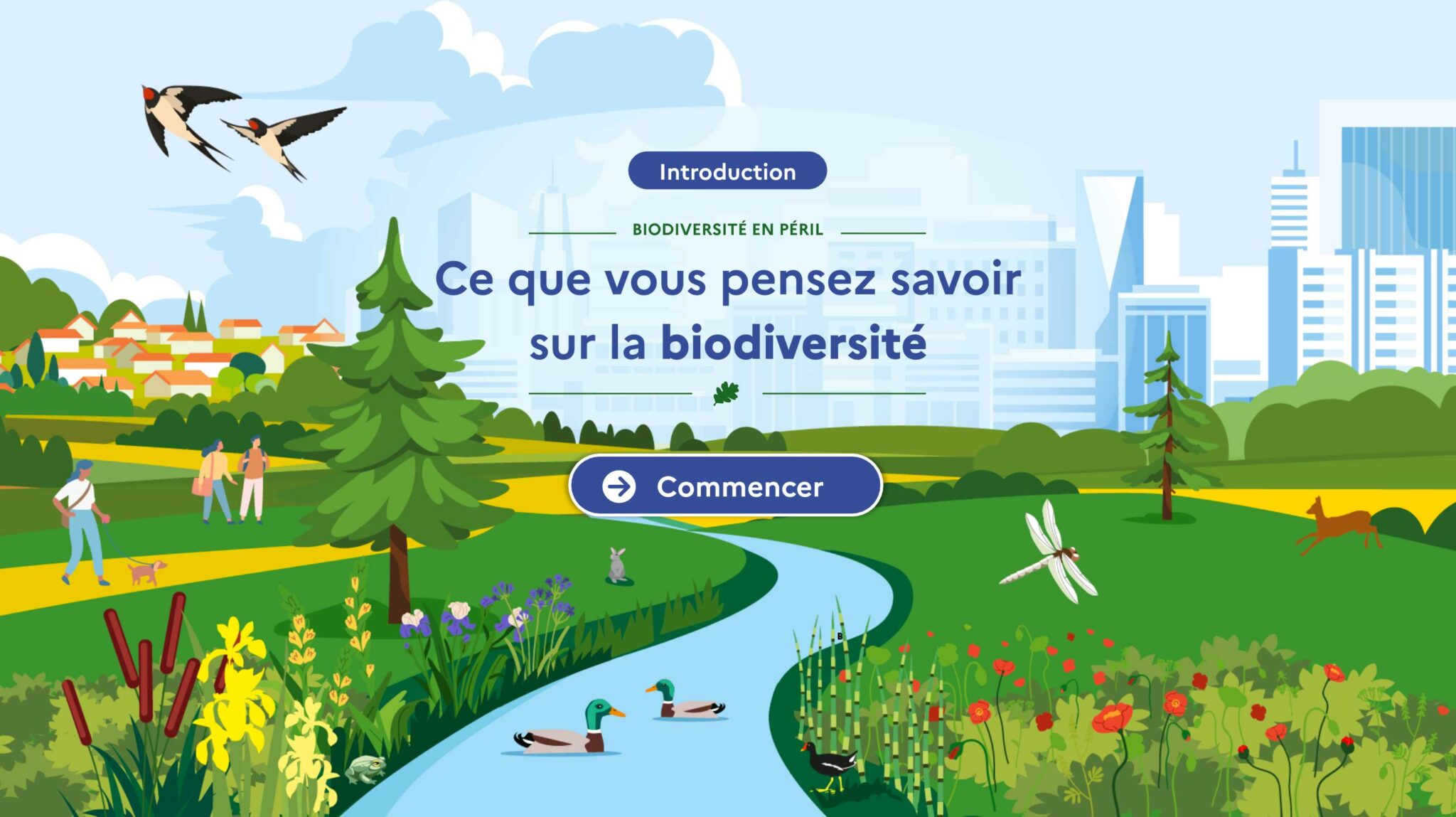 illustration zoé museum d'histoire naturelle illustration module de formation biodiversité