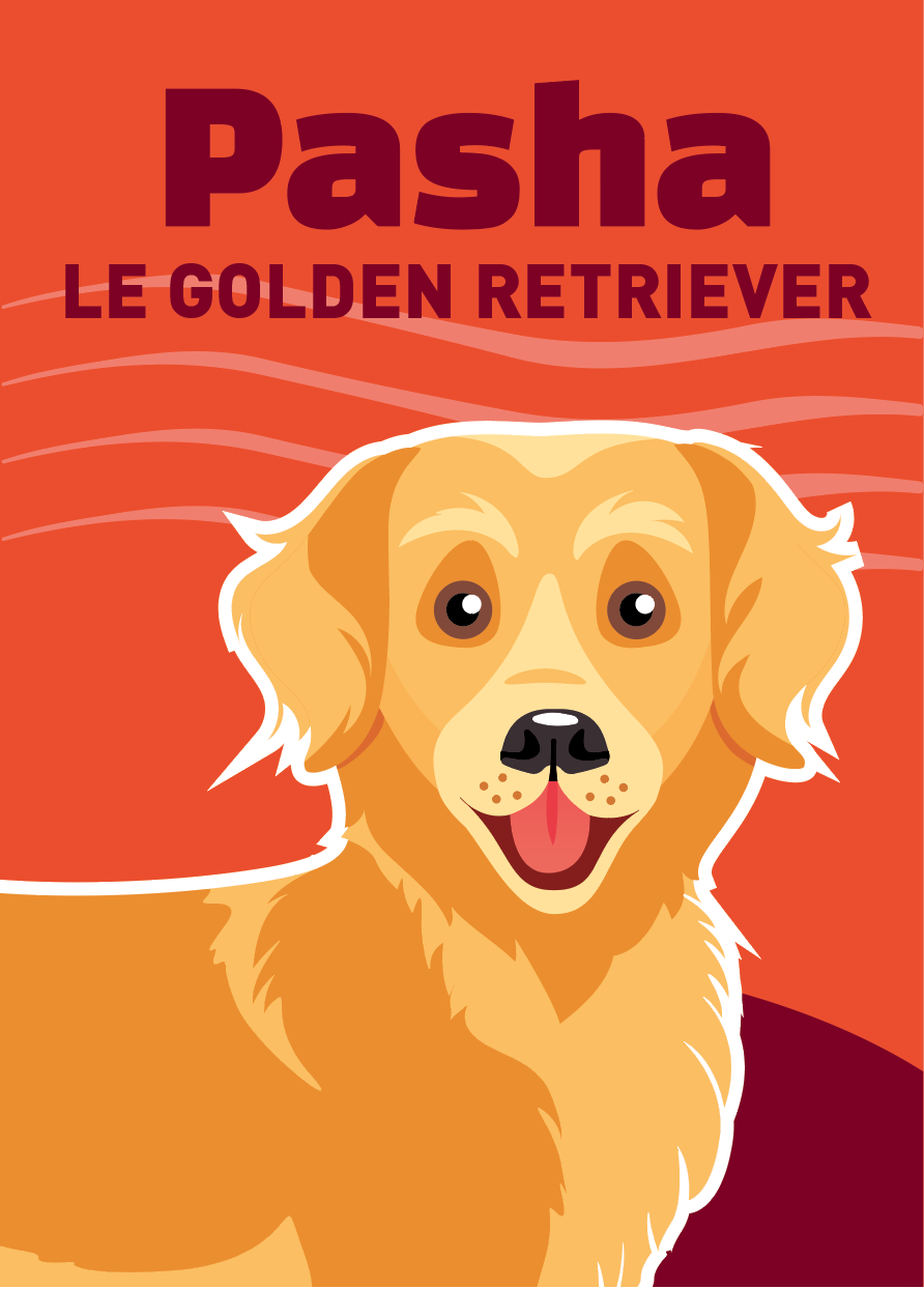 illustration golden retriever chien
