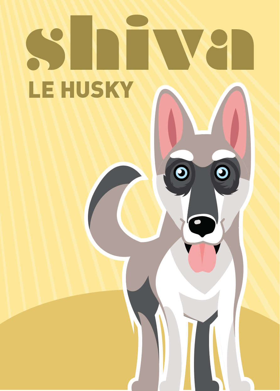 illustration husky