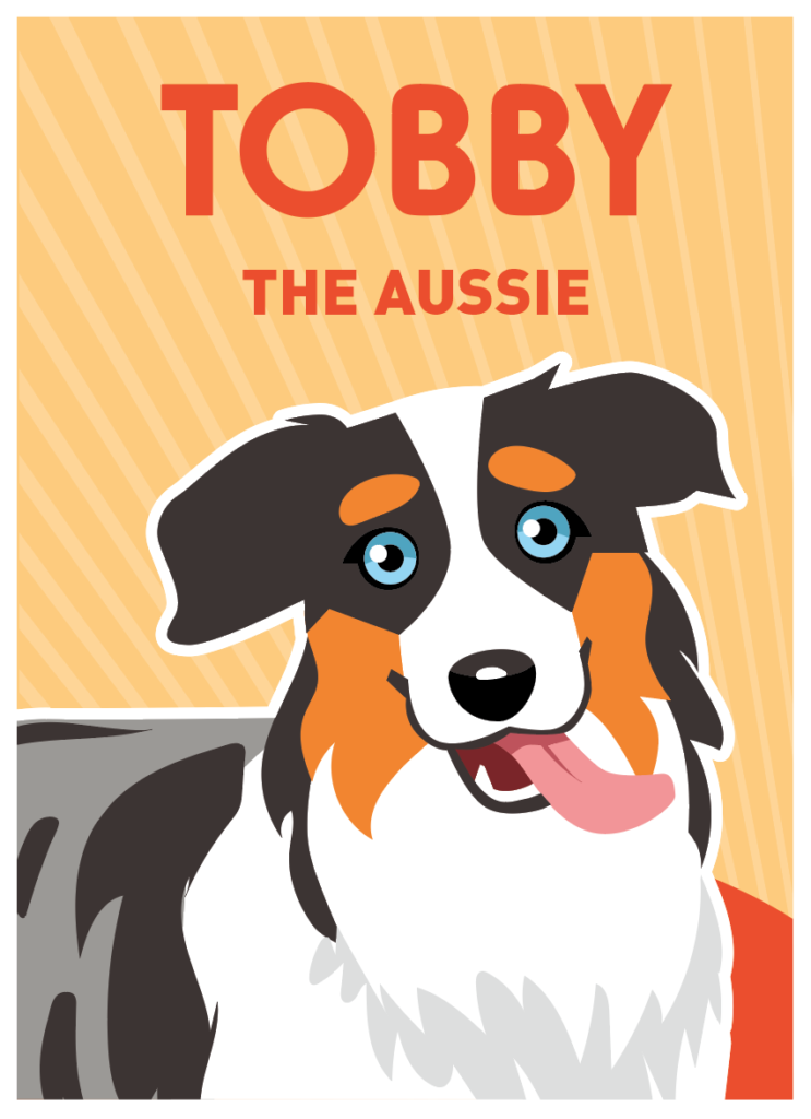 illustration berger australien chien