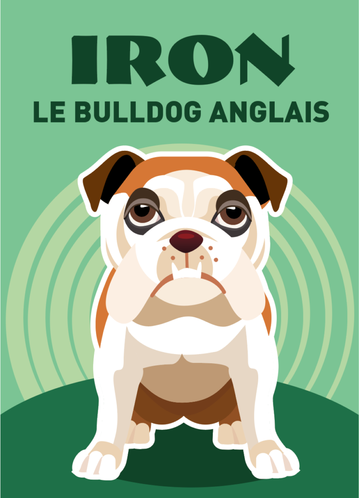 illustration bulldog anglais