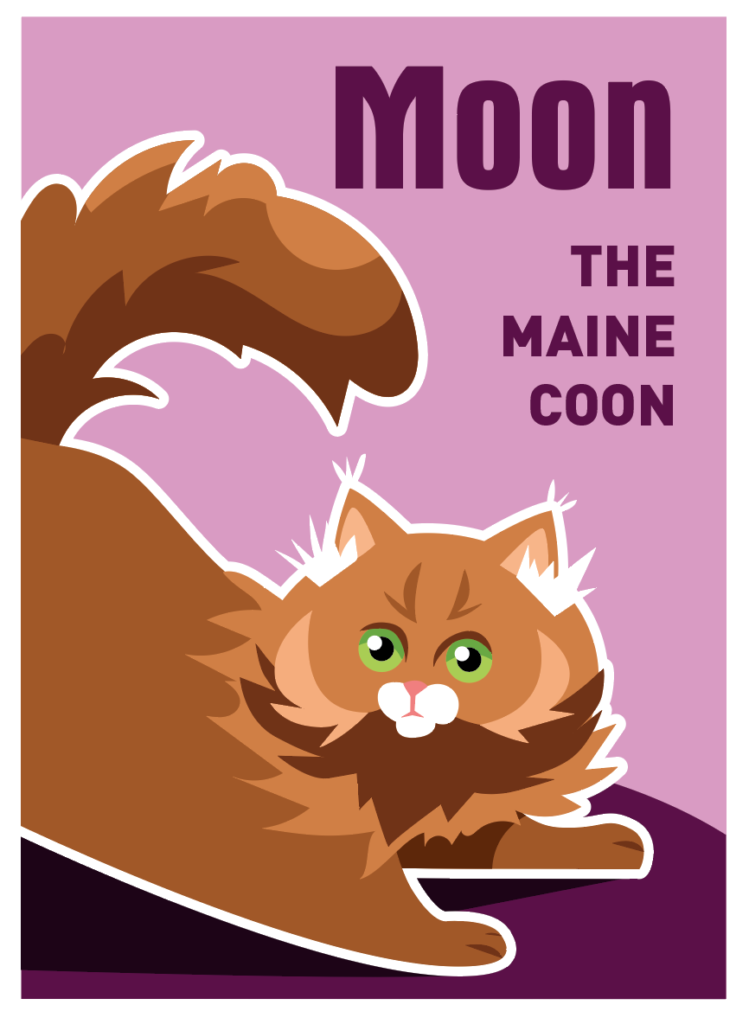 illustration maine coon chat