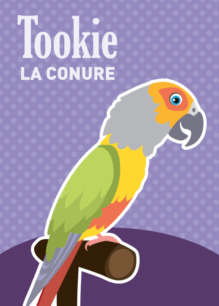 illustration conure Zoomalia