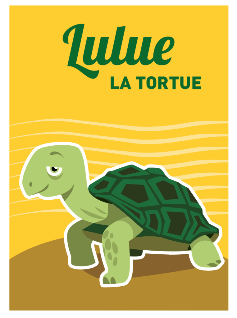 illustration tortue