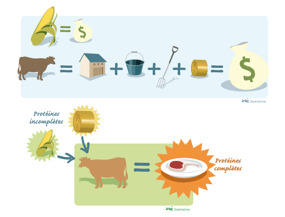 illustration alimentation