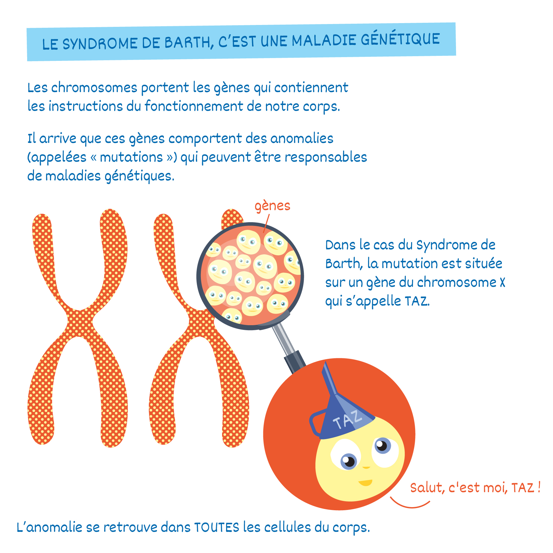 illustration santé chromosome