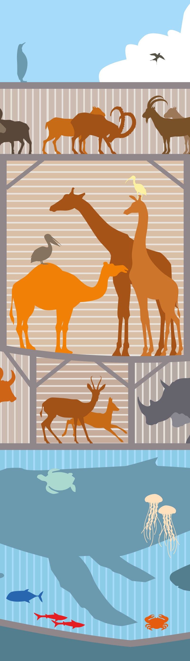 illustration animaux