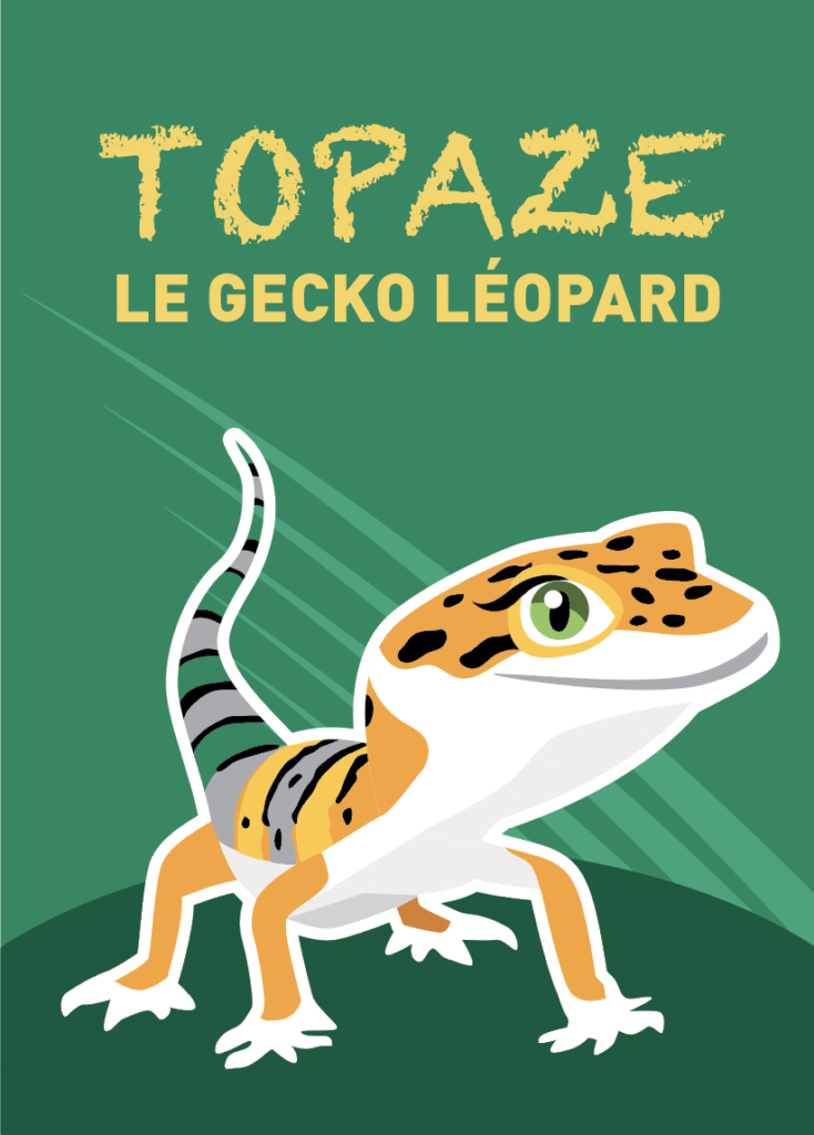 illustration gecko