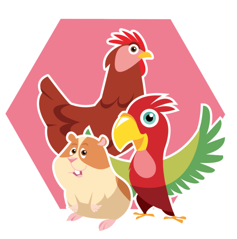 illustration hamster poule perroquet