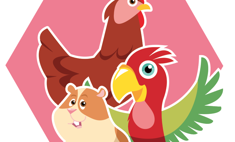 illustration hamster poule perroquet